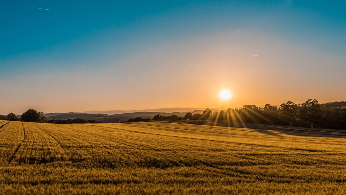 Campo agrícola visto desde arriba con trazabilidad de producción