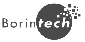 Logo de Borintech